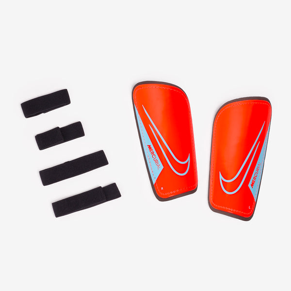 Main