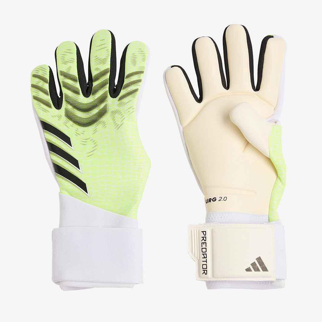 Main