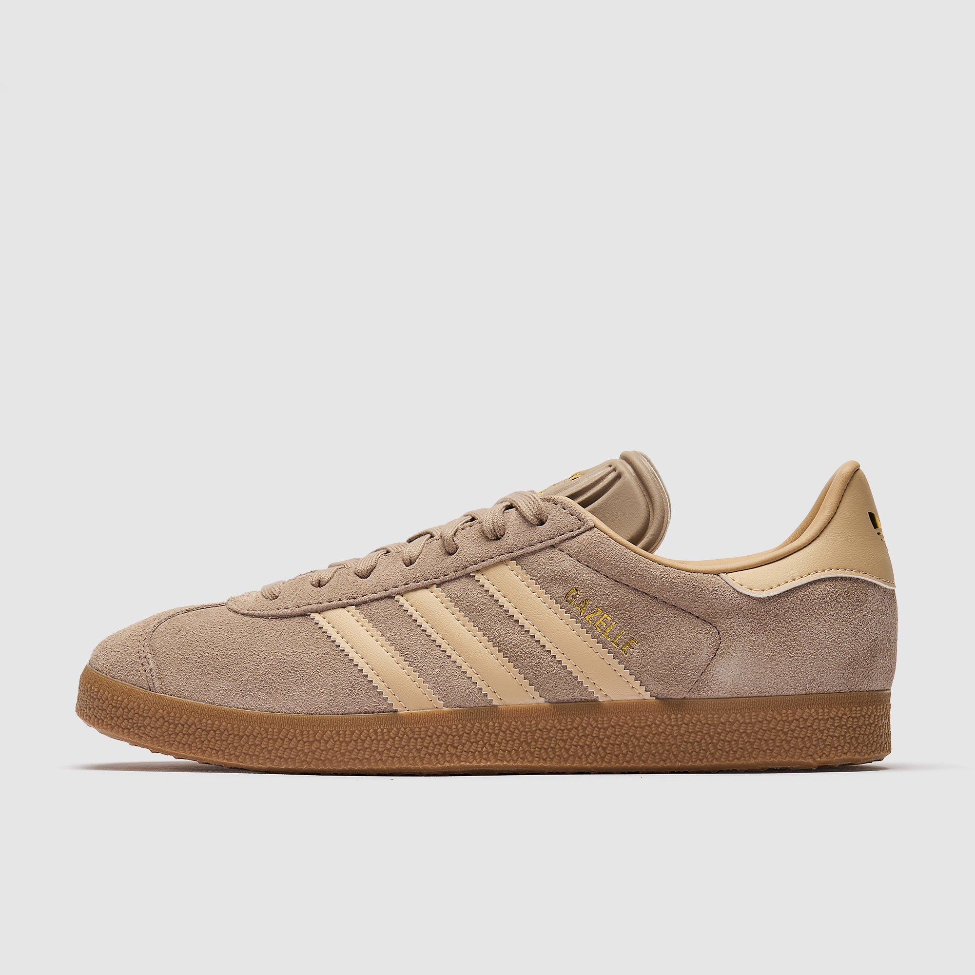 GALLERY_1