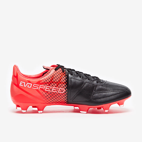 Gallery_2