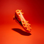 Gallery_3