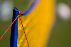 Gallery_2