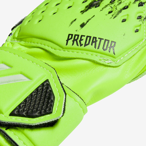 Gallery_1