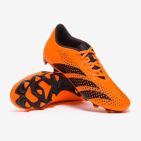 Main