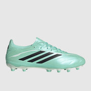 MAIN