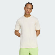 Main